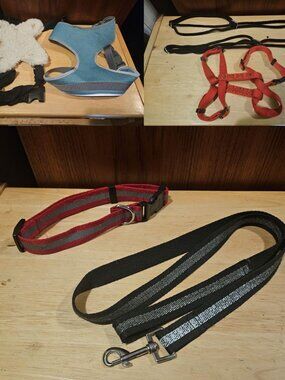 Dog Harnesses, Collar and Leash for mid sized dog (beagle)